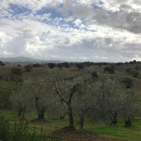 Podere Pini Маляно ин Тоскана Екстериор снимка